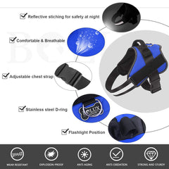Bolux arnés con asa ajustable para control cercano durante caminatas urbanas.