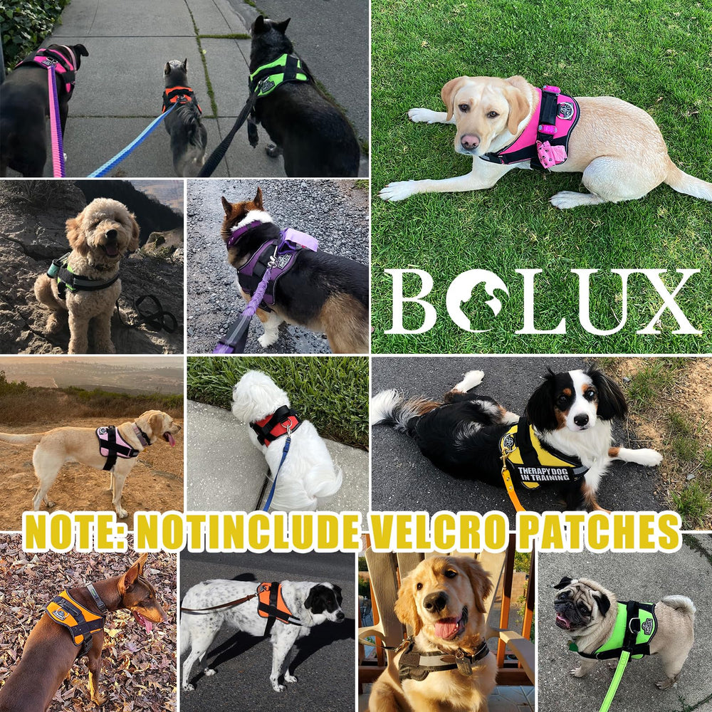 Bolux arnés para paseo diario — manejo suave y seguro gracias al asa.