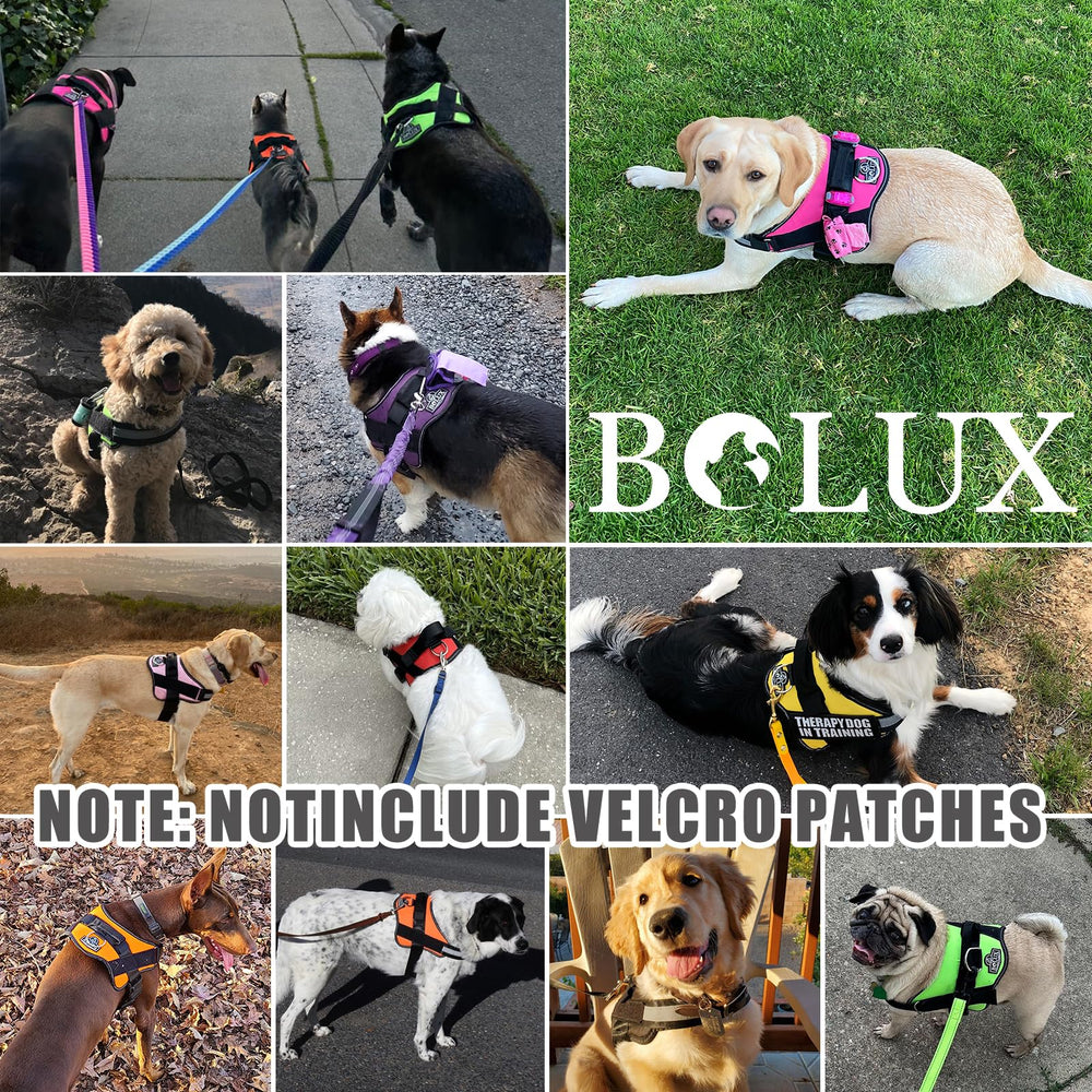 Bolux arnés, nylon resistente para uso diario.
