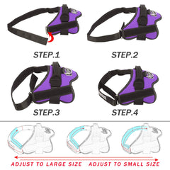 Arnés Bolux con manija ergonómica para control cercano.