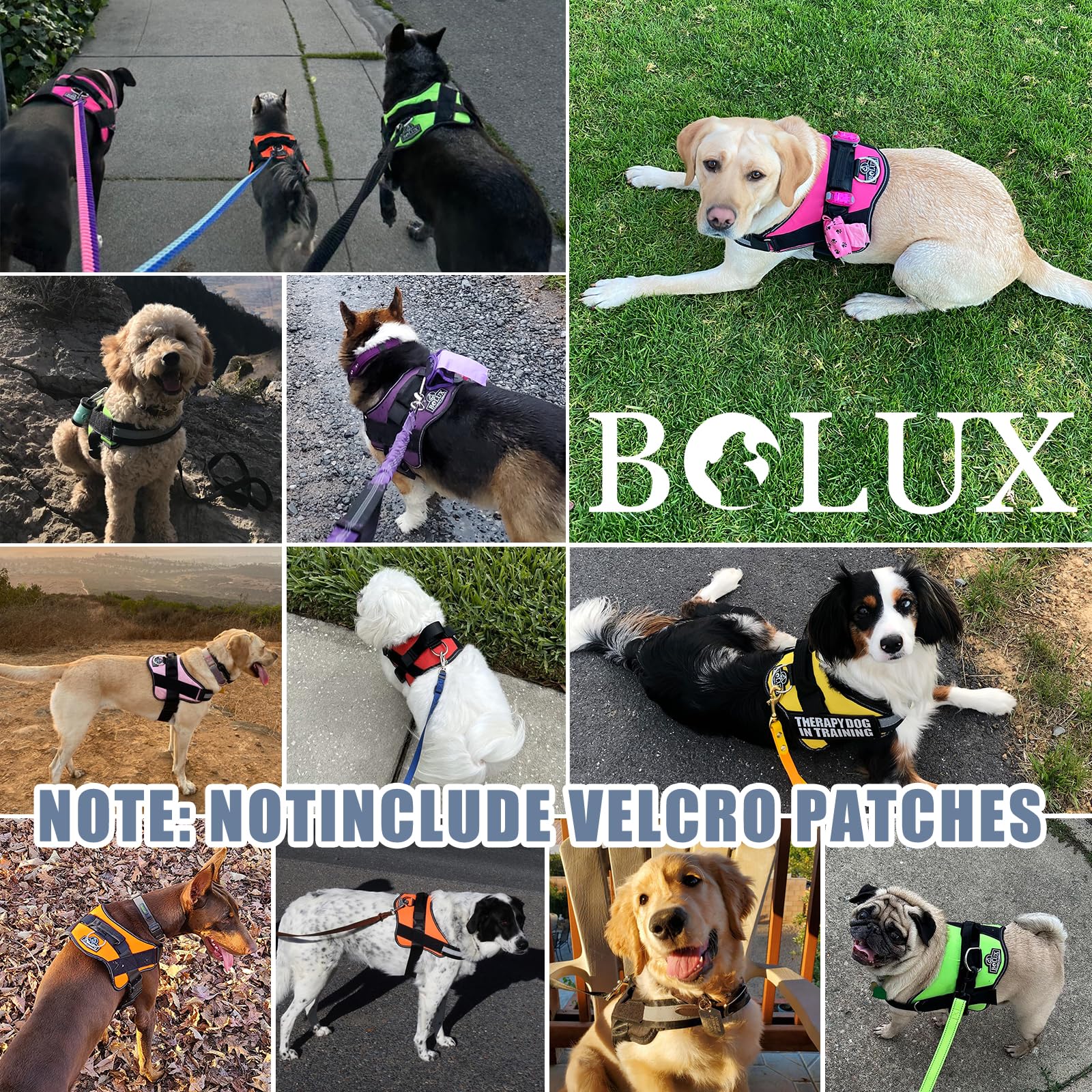 Arnés de nylon Bolux resistente y duradero para paseos intensos.