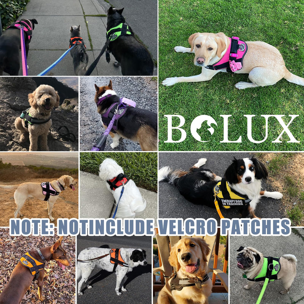 Arnés de nylon Bolux resistente y duradero para paseos intensos.