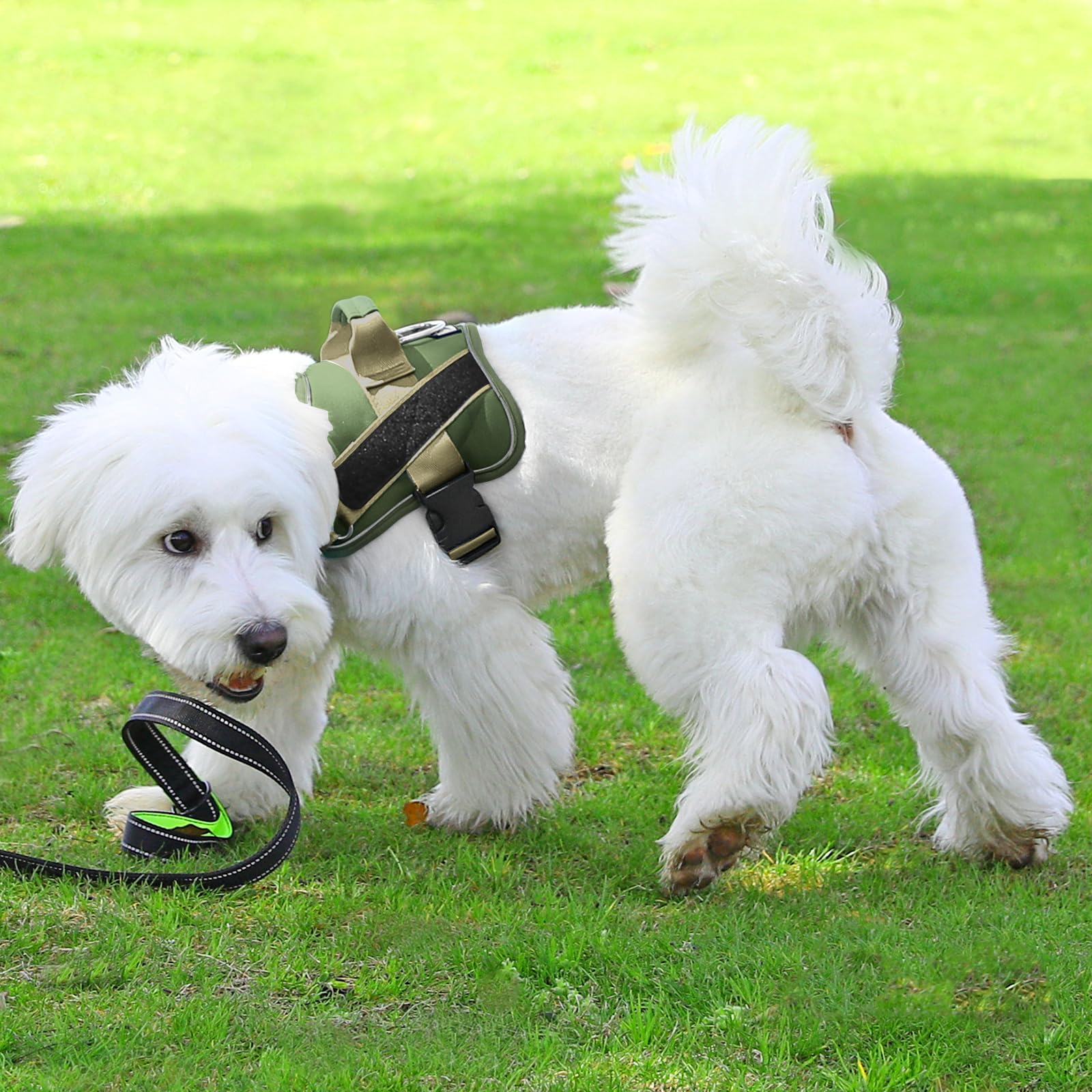 Bolux arnés para perro paseo diario, cómodo para recorridos cortos y largos