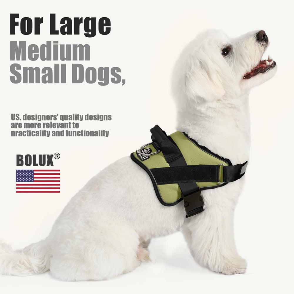 Bolux arnés para caminatas diarias, ideal para ciudades y senderos.