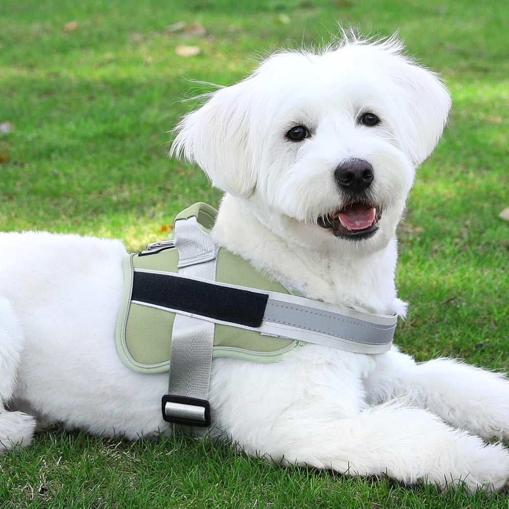 Bolux arnés talla extra para perros pequeños con ajuste seguro.