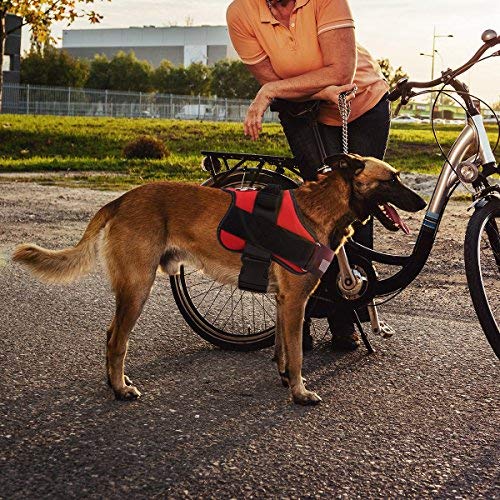 Bolux arnés talla L para razas grandes como Labrador.