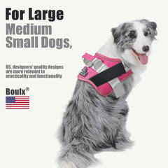 Arnés Bolux transpirable ideal para perros activos durante paseos largos.