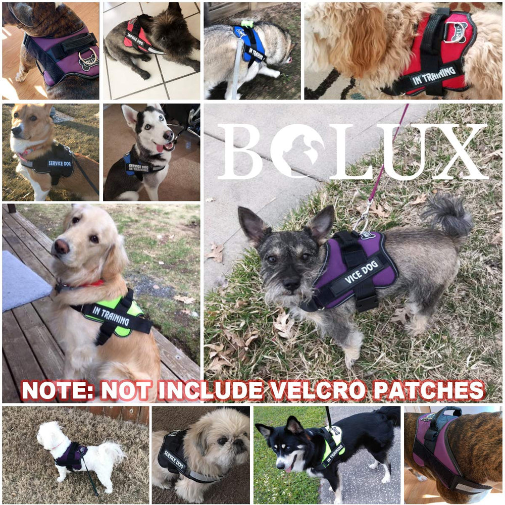 Bolux arnés para uso diario en caminatas y aventuras al aire libre.