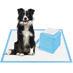Bolux Pad de Entrenamiento para Perro: gestión de desechos en casa.