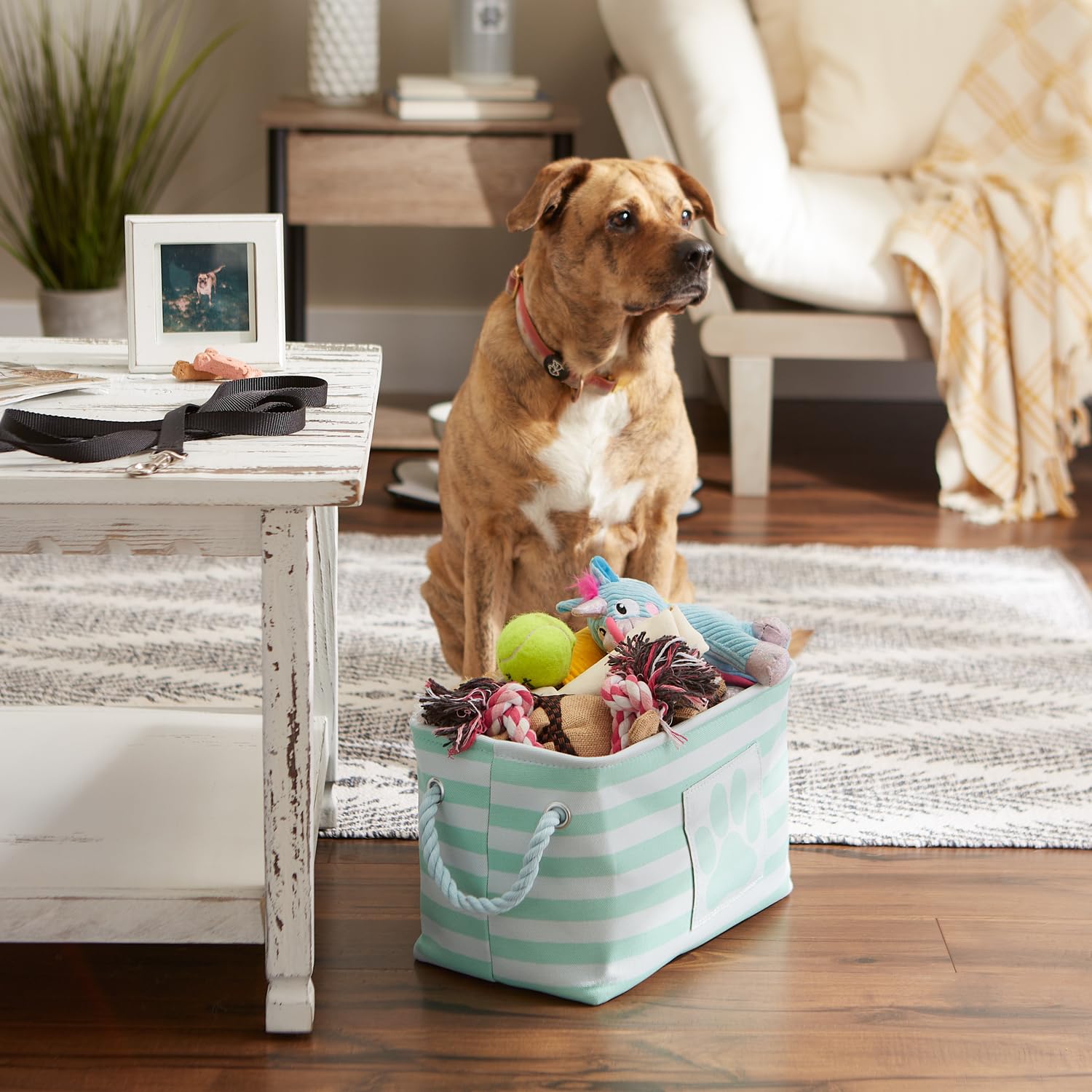 Solución de almacenamiento Bone Dry para mascotas con varios accesorios.