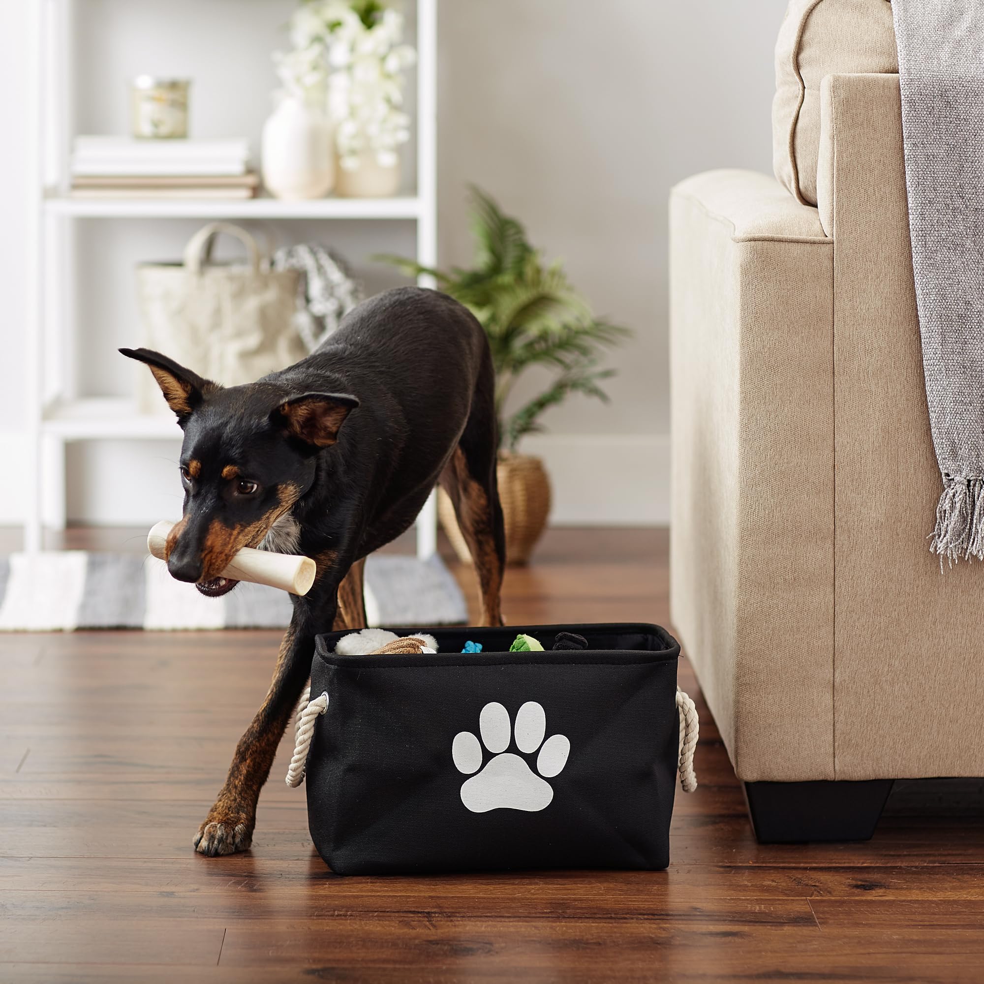 Bone Dry recipiente rectangular plegable para mascotas, negro, perfecto para premios y collares.