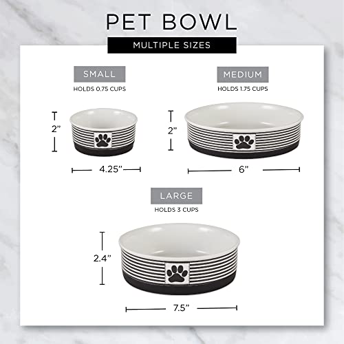 Bone Dry tazón mediano 6x2, ideal para gatos y perros pequeños.
