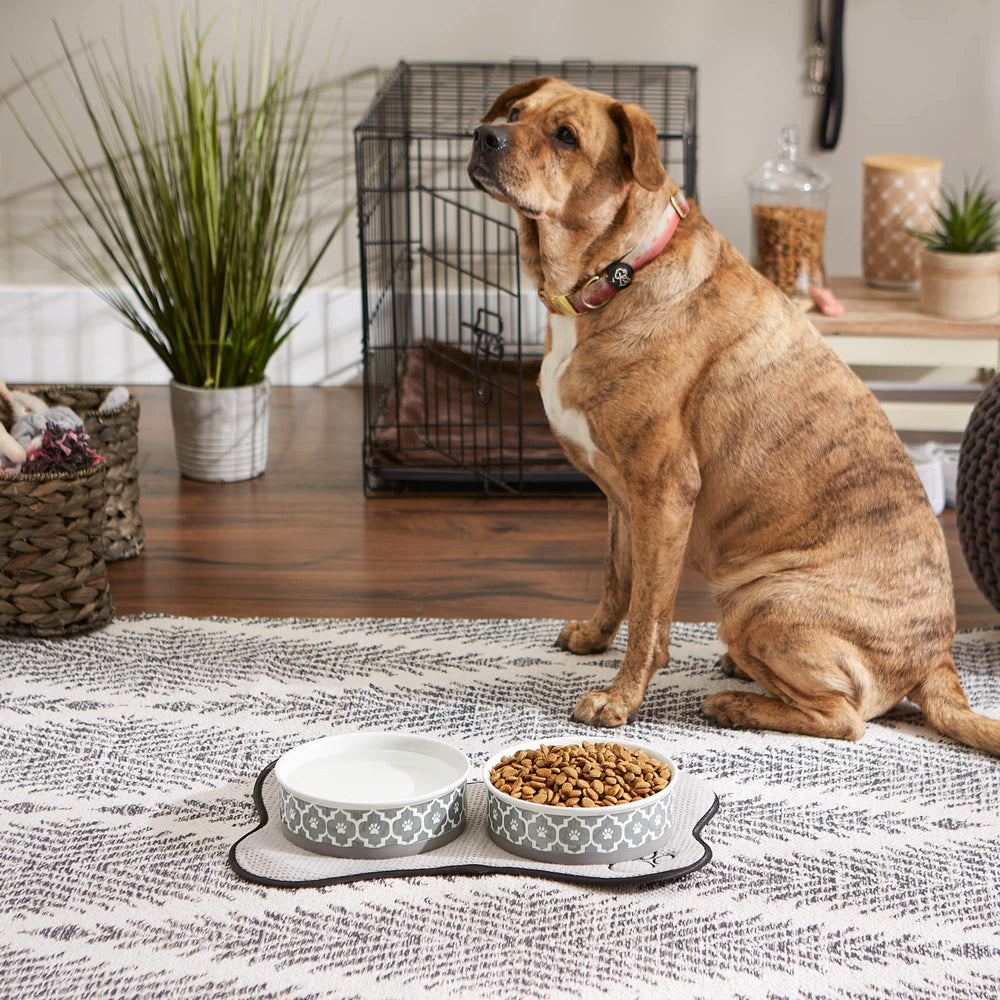Tazón Bone Dry apto para microondas, conjunto práctico.