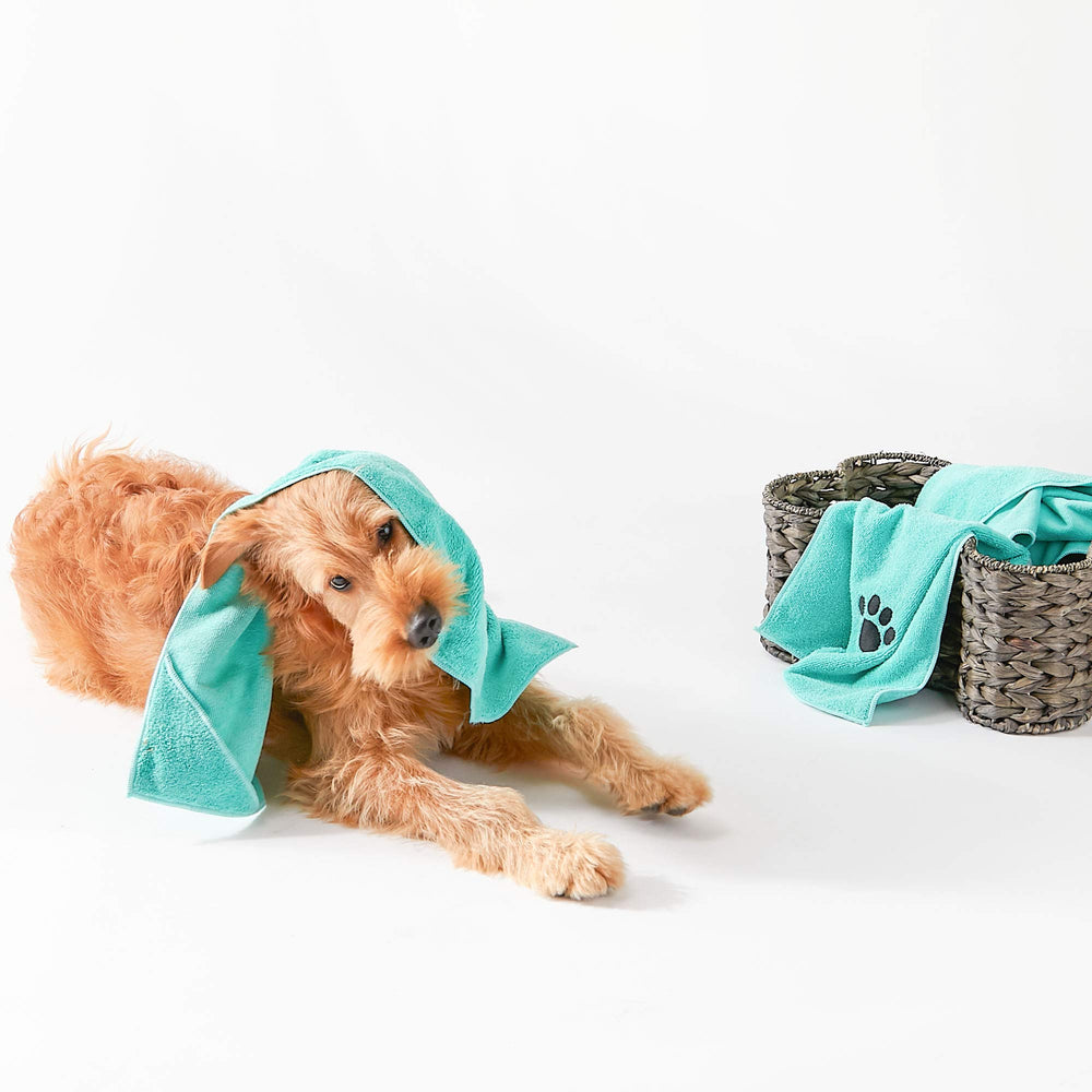 Bone Dry toalla-terry-microfibra-suave: absorbente y suave para secar a tu mascota.