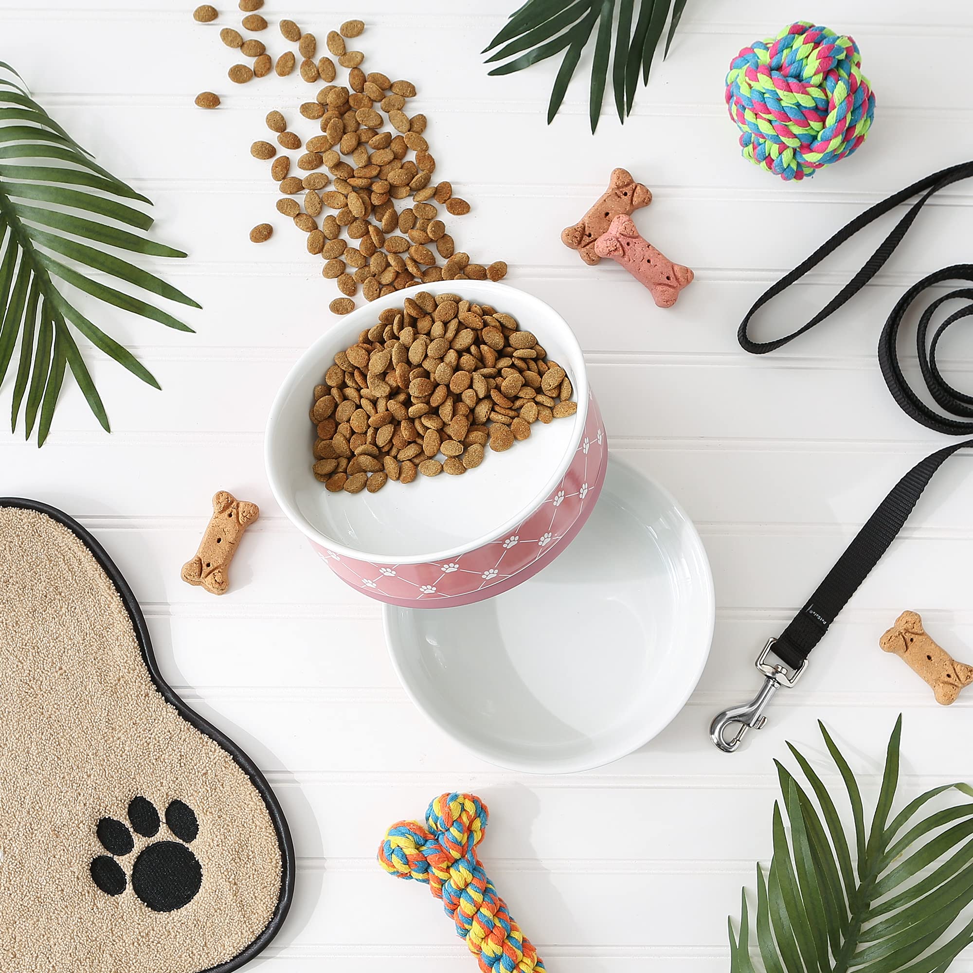 Tazones de cerámica grandes de Bone Dry Trellis para mascotas.