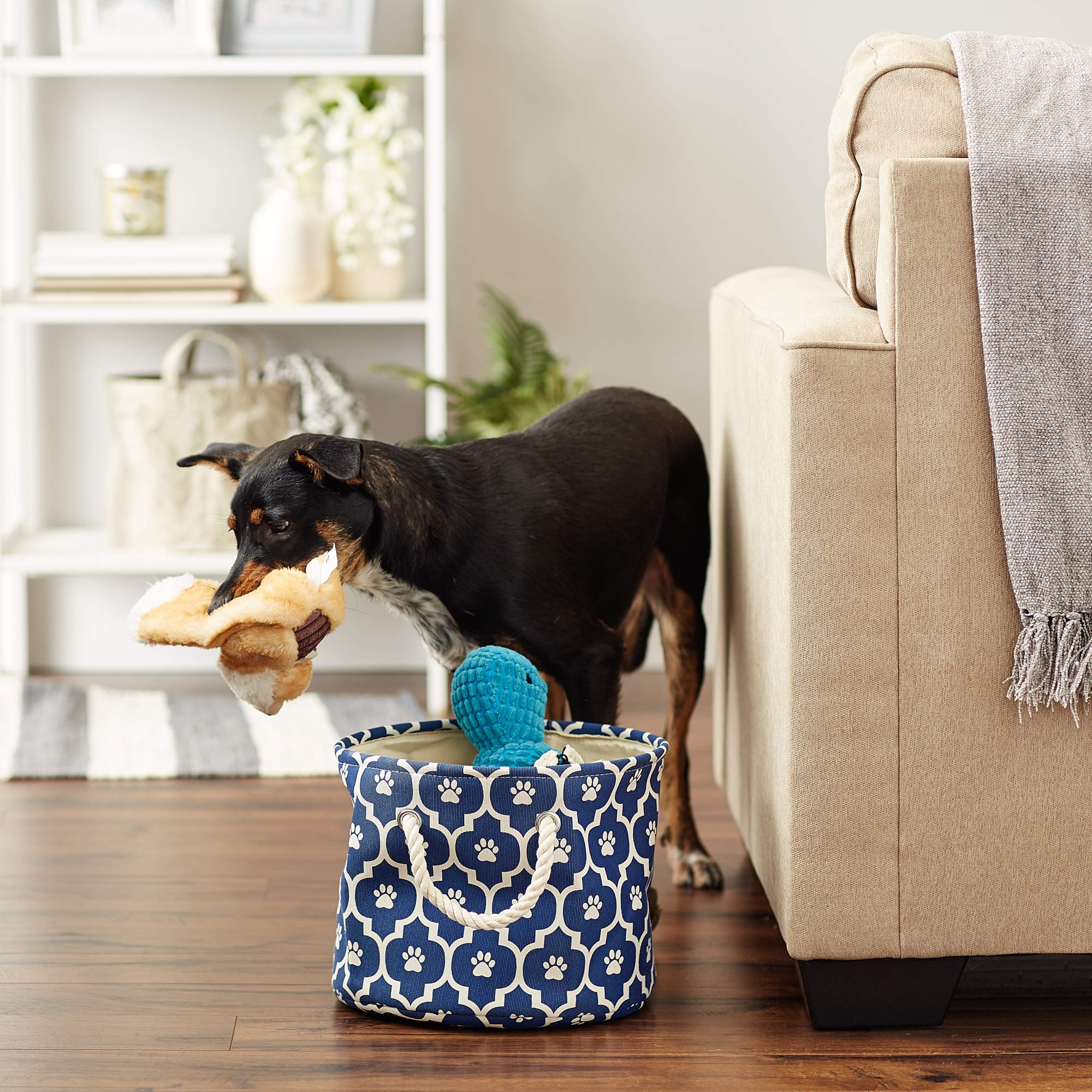 Bone Dry contenedor compacto para snacks de perros, azul náutico