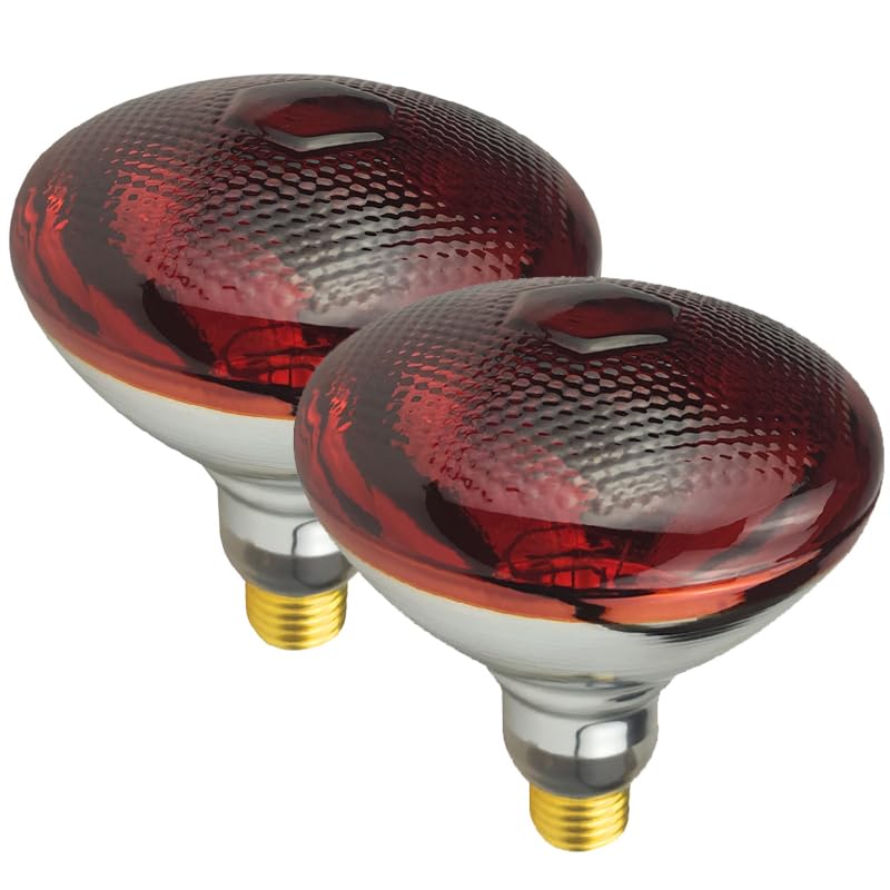 BONGBADA lámpara de calor PAR38 250W roja para terrarios y calor eficiente