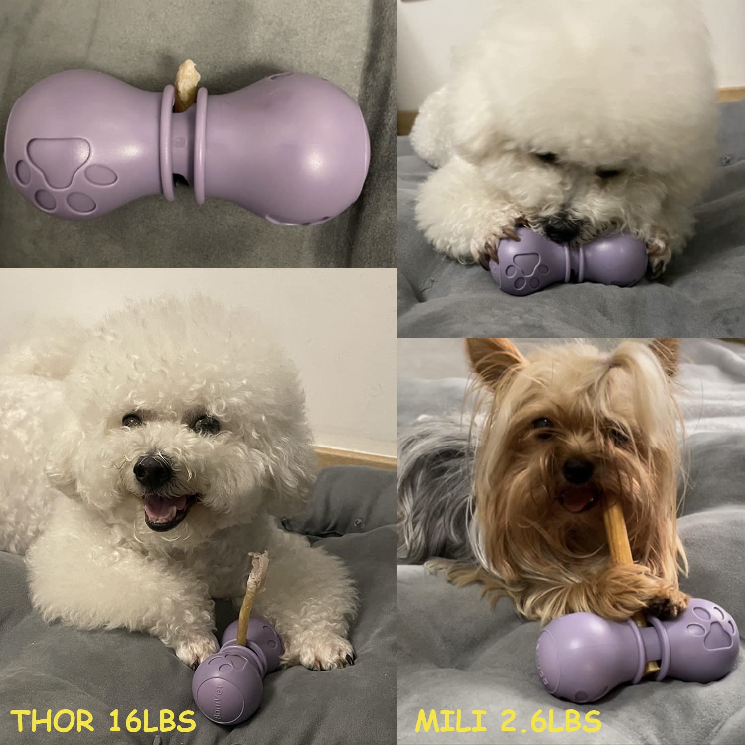 BoniVet Portapalitos durabilidad y diseno resistente para perros pequeños.