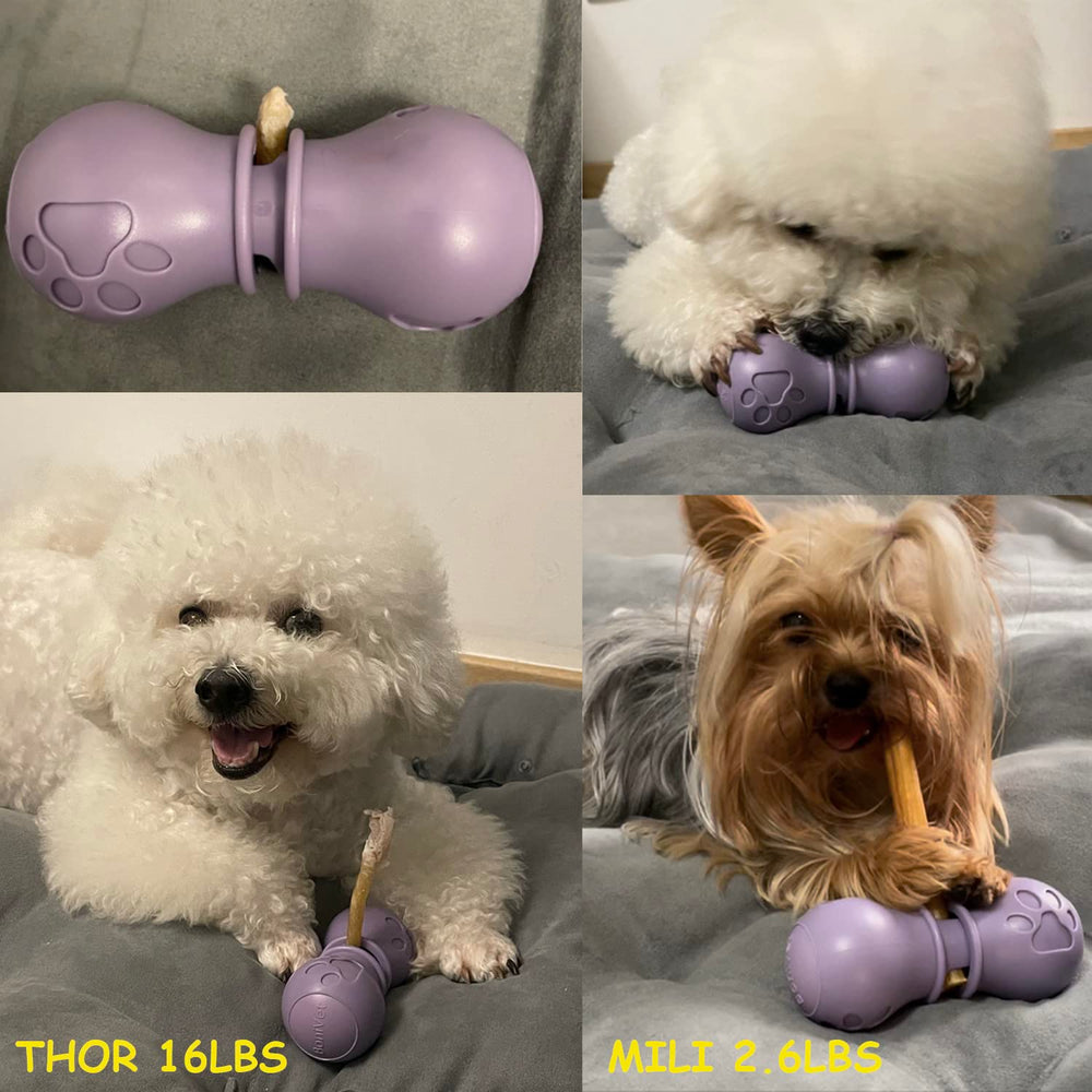 BoniVet Portapalitos durabilidad y diseno resistente para perros pequeños.