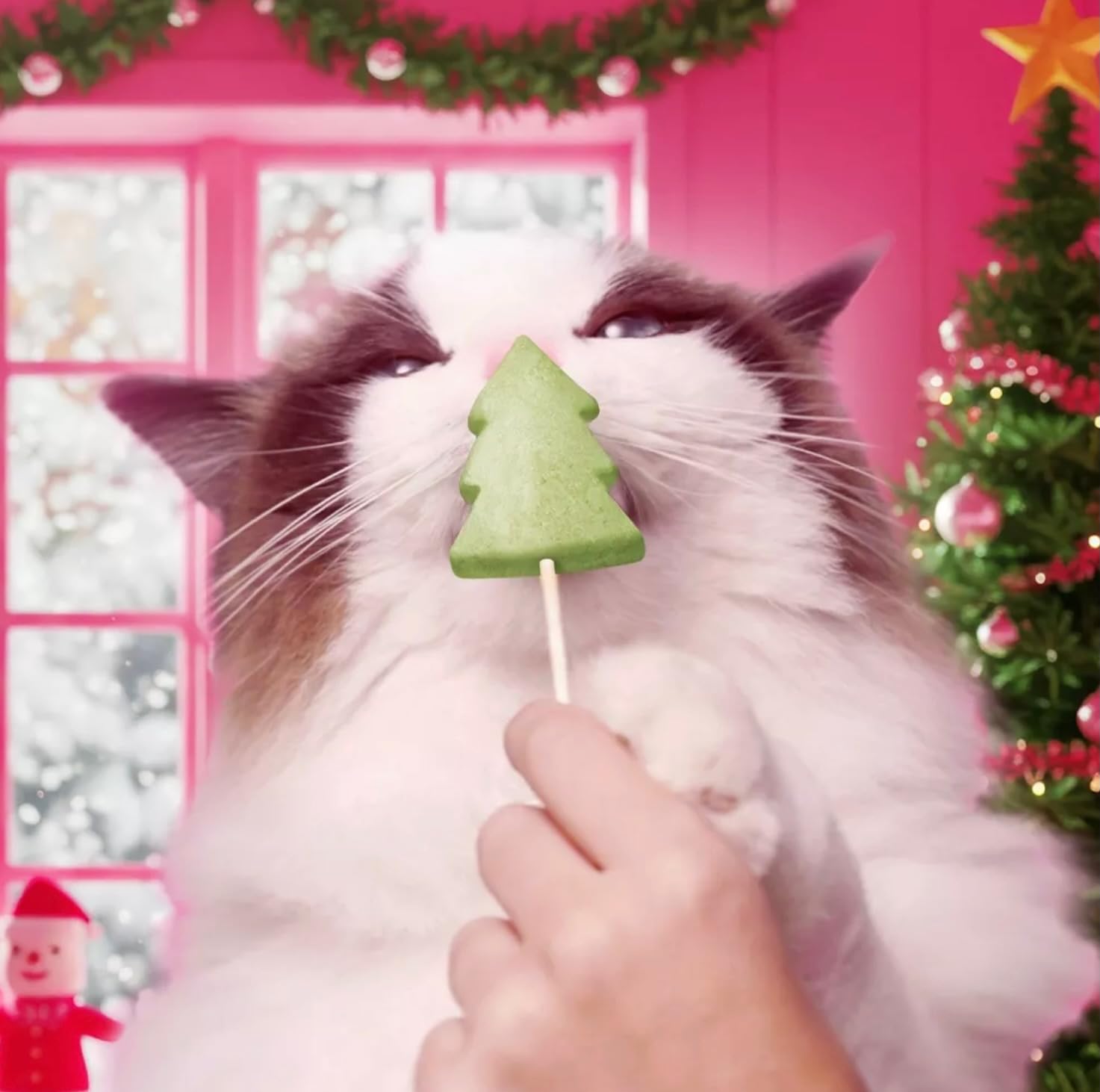 Juguete resorte verde de Bonkers Purrpops para gatos
