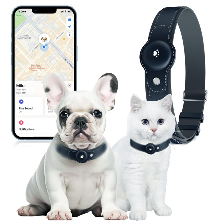 BONSO rastreador localizacion collar: ubicación en tiempo real para localizar a tu mascota.