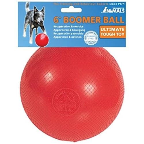 Boomer Ball de Company of Animals, disponible en colores variados para combinar con tu mascota.
