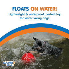 Boomer Ball estimulación mental para perros curiosos.
