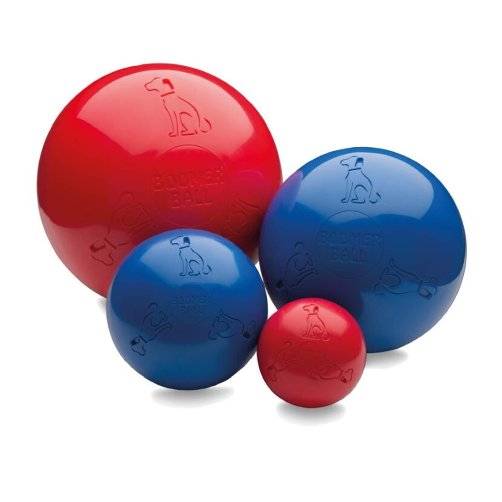 Boomer Ball indestructible de 10 pulgadas para perros duros.