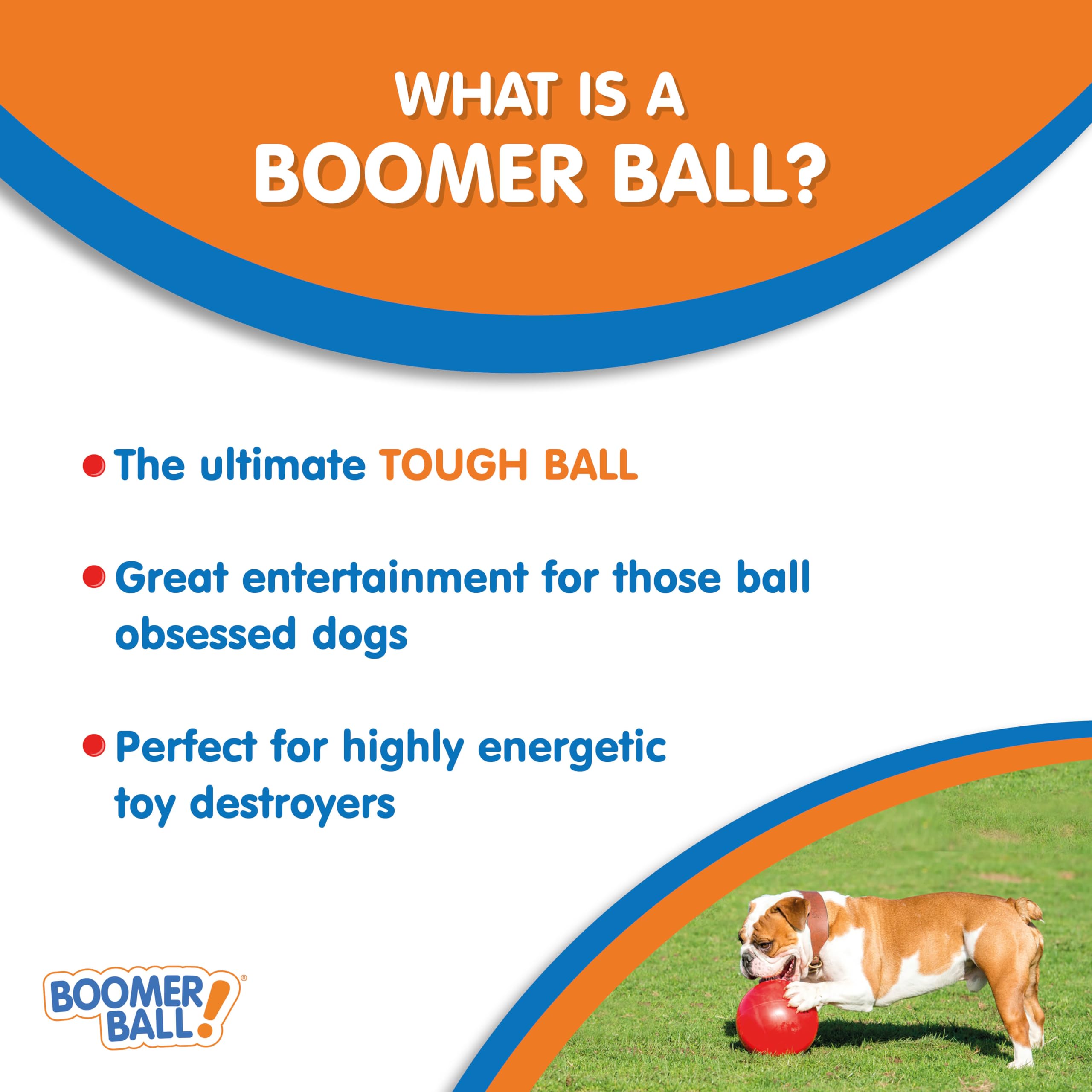 Boomer Ball juego intenso para perros activos y energéticos.