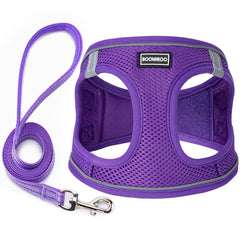 BOOMIBOO arnés perro ajuste ajustable: comodidad y control en caminatas diarias
