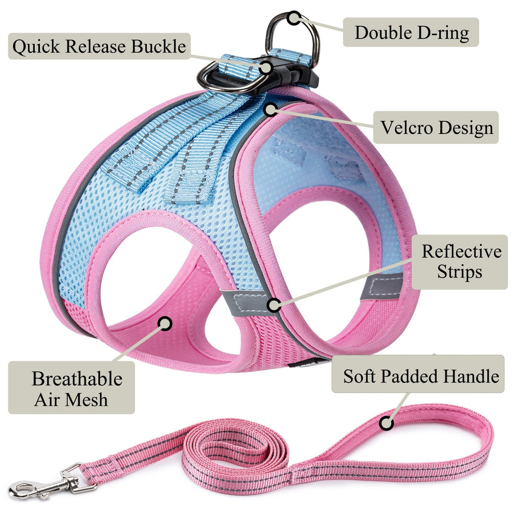BOOMIBOO arnés para perro con clip rápido y doble anillo para seguridad