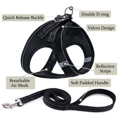BOOMIBOO arnés-perro malla transpirable y cómodo para caminatas largas