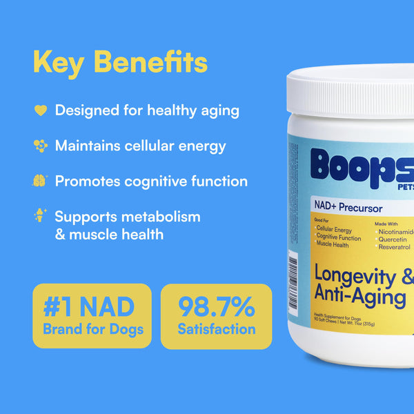 Boops Pets NAD+ Precursor ingredientes clave NR, resveratrol y quercetina