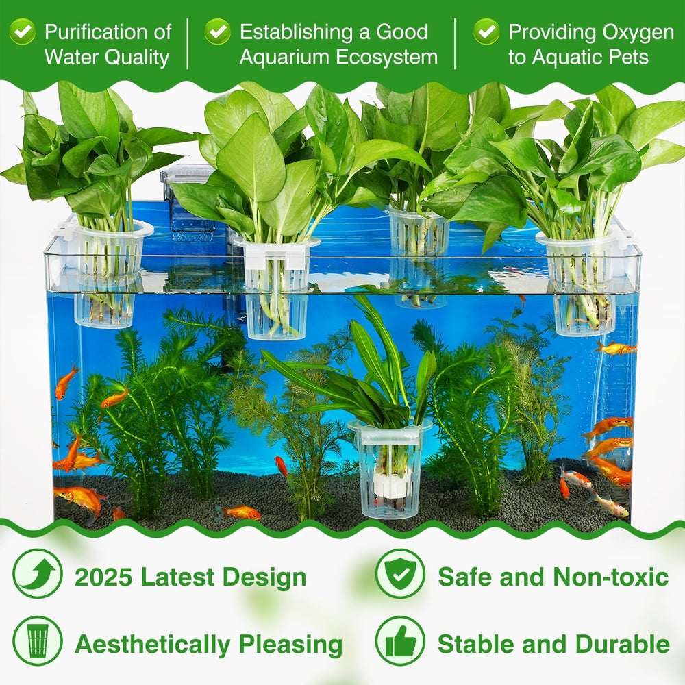 Borlech portaplanta con ventosas transparentes para fijar plantas en vidrio