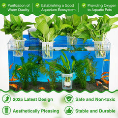 Borlech portaplanta con ventosas transparentes para fijar plantas en vidrio