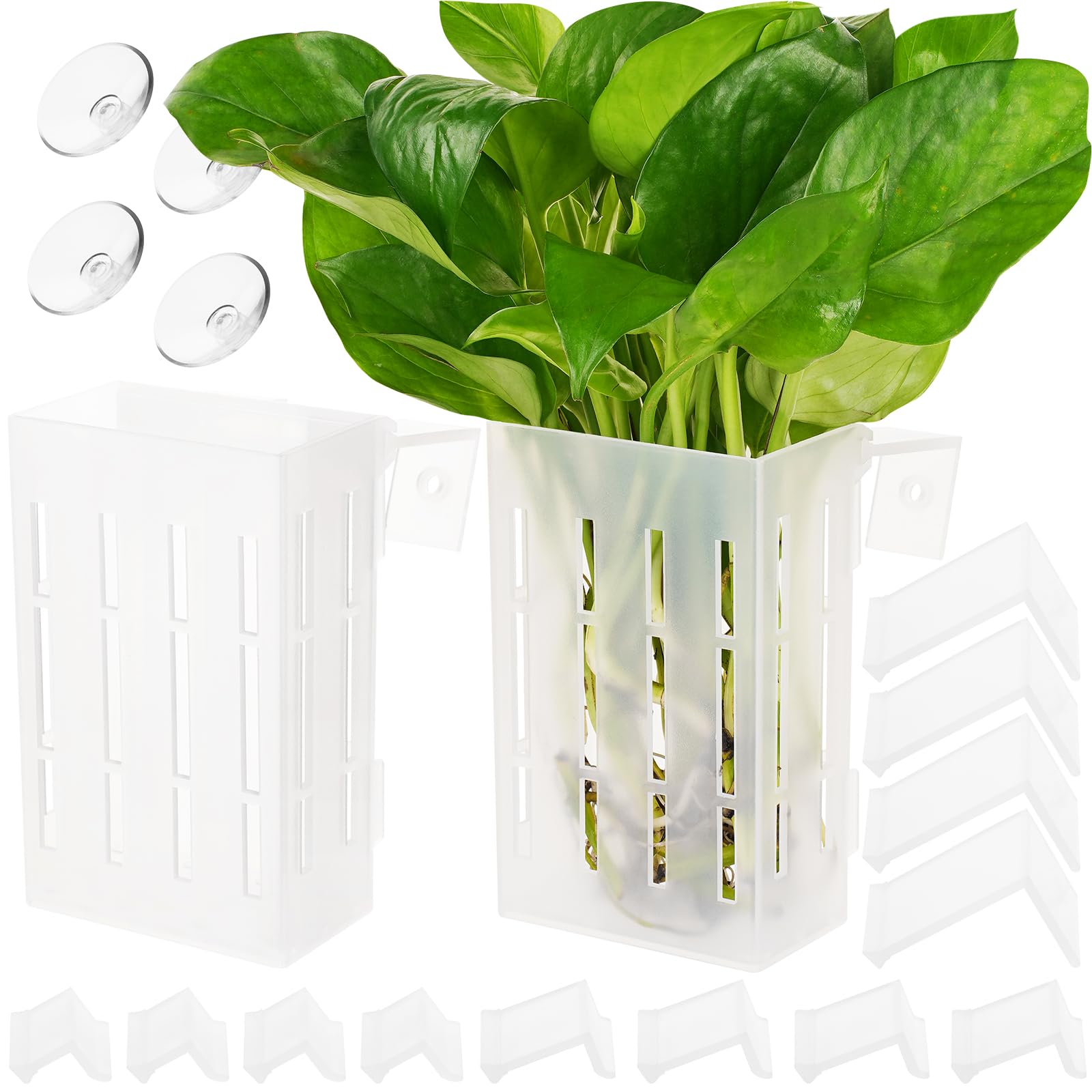 Borlech, soporte planta acuario grande con ganchos para fijación estable de plantas