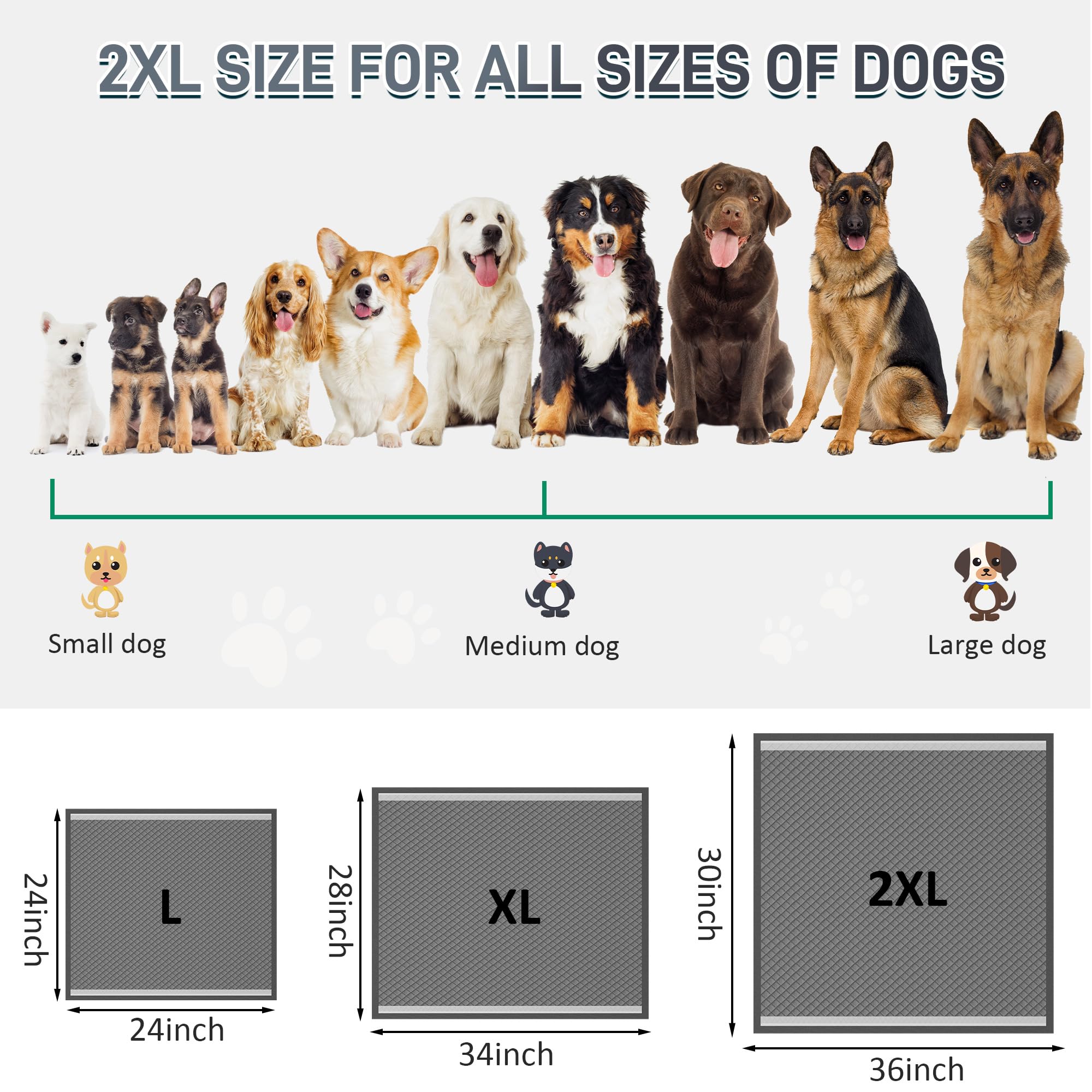 Tamaño XXL de Boscute ideal para perros grandes, cachorros y gatos