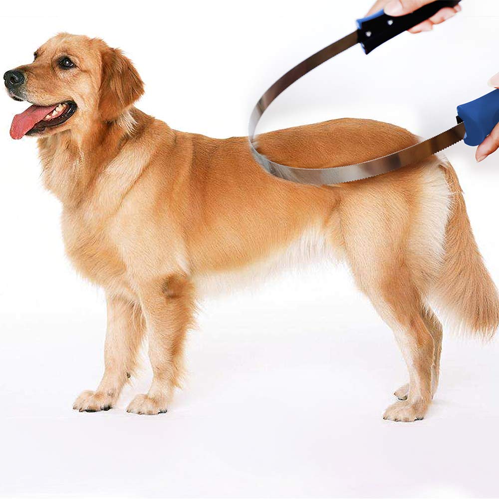 BOTH WINNERS: regalo ideal para dueños de mascotas, útil en el hogar.