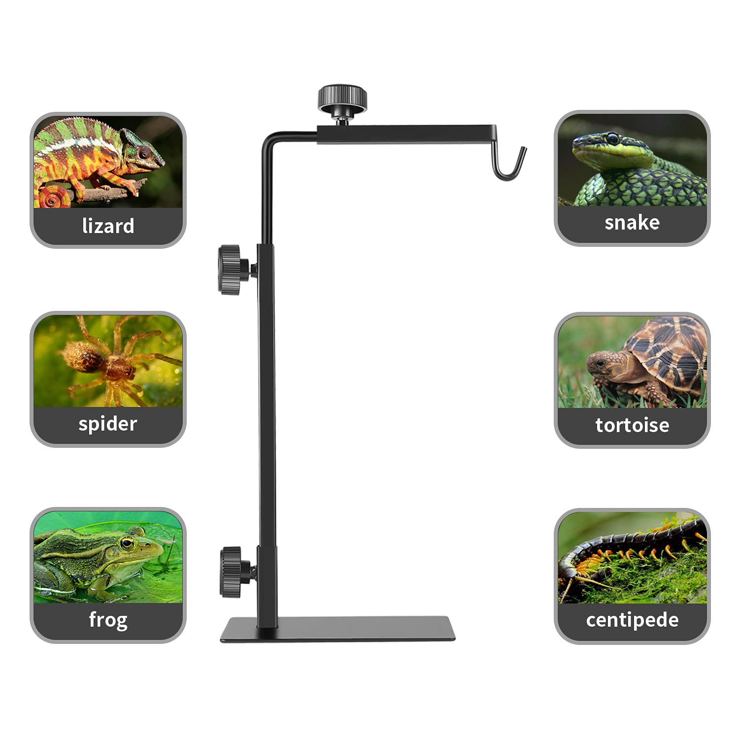 BOURDSERK domo calor para reptiles, compatible con múltiples luces y calentamiento uniforme.