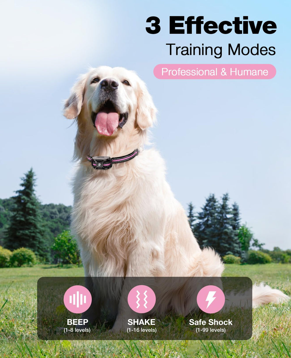 Bousnic collar de doble canal para entrenar dos perros a la vez.
