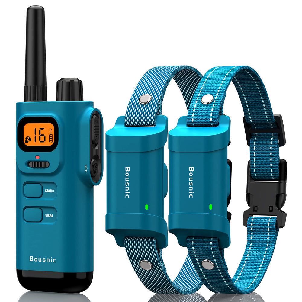 BOUSNIC collar de entrenamiento con alcance de 4000 pies para obediencia al aire libre.