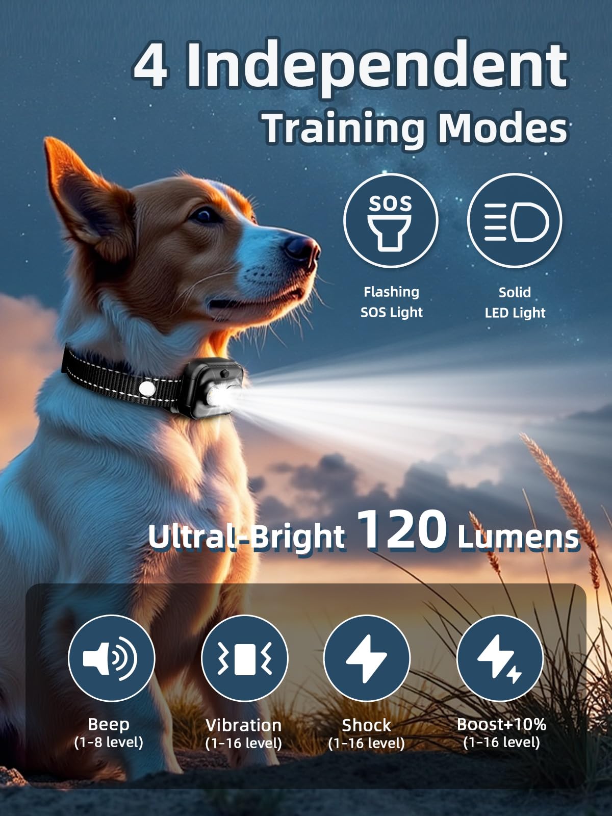 BOUSNIC collar-pantalla TFT muestra niveles y memoria de entrenamiento