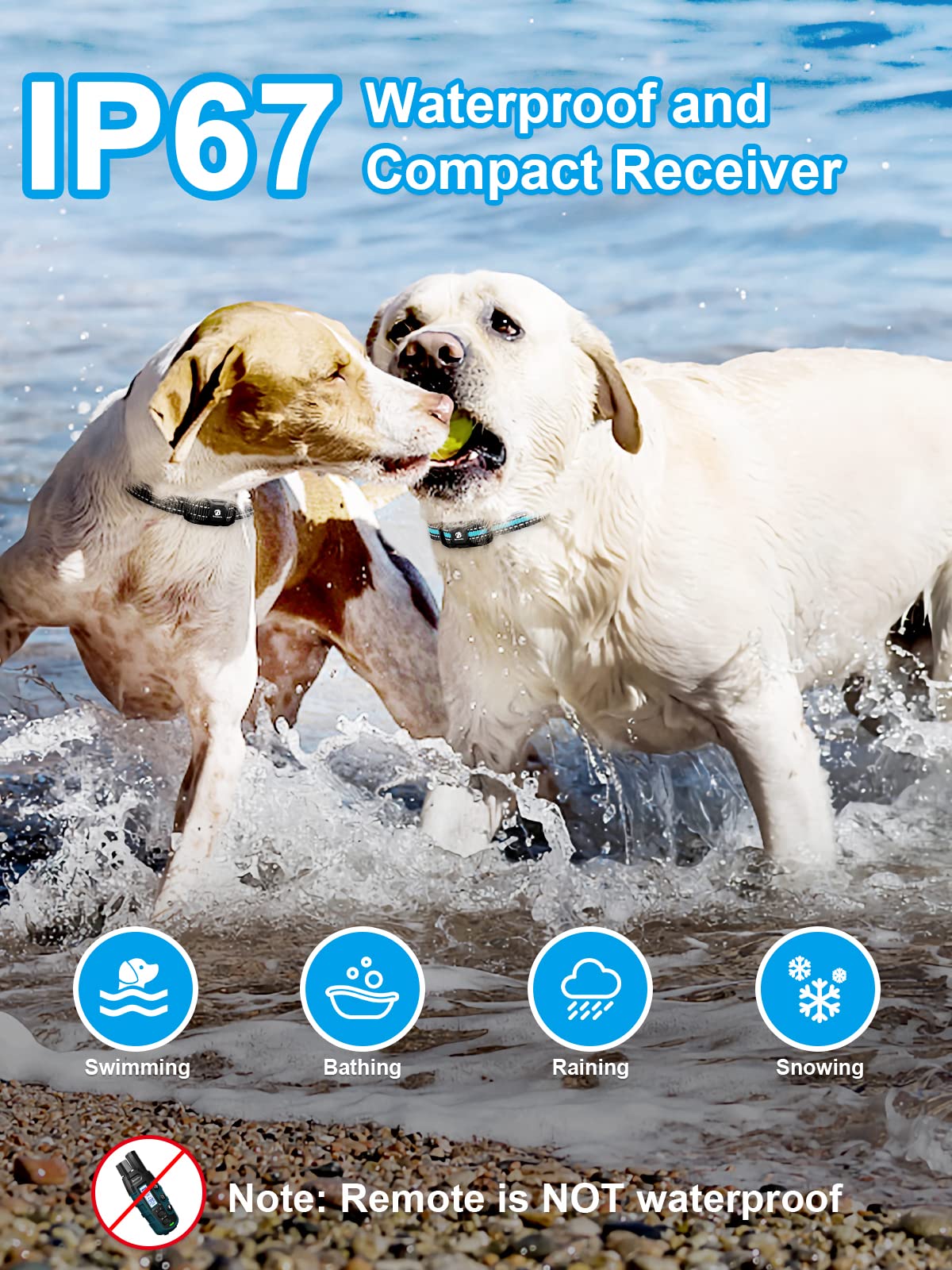 BOUSNIC control remoto dual-canal para dos perros