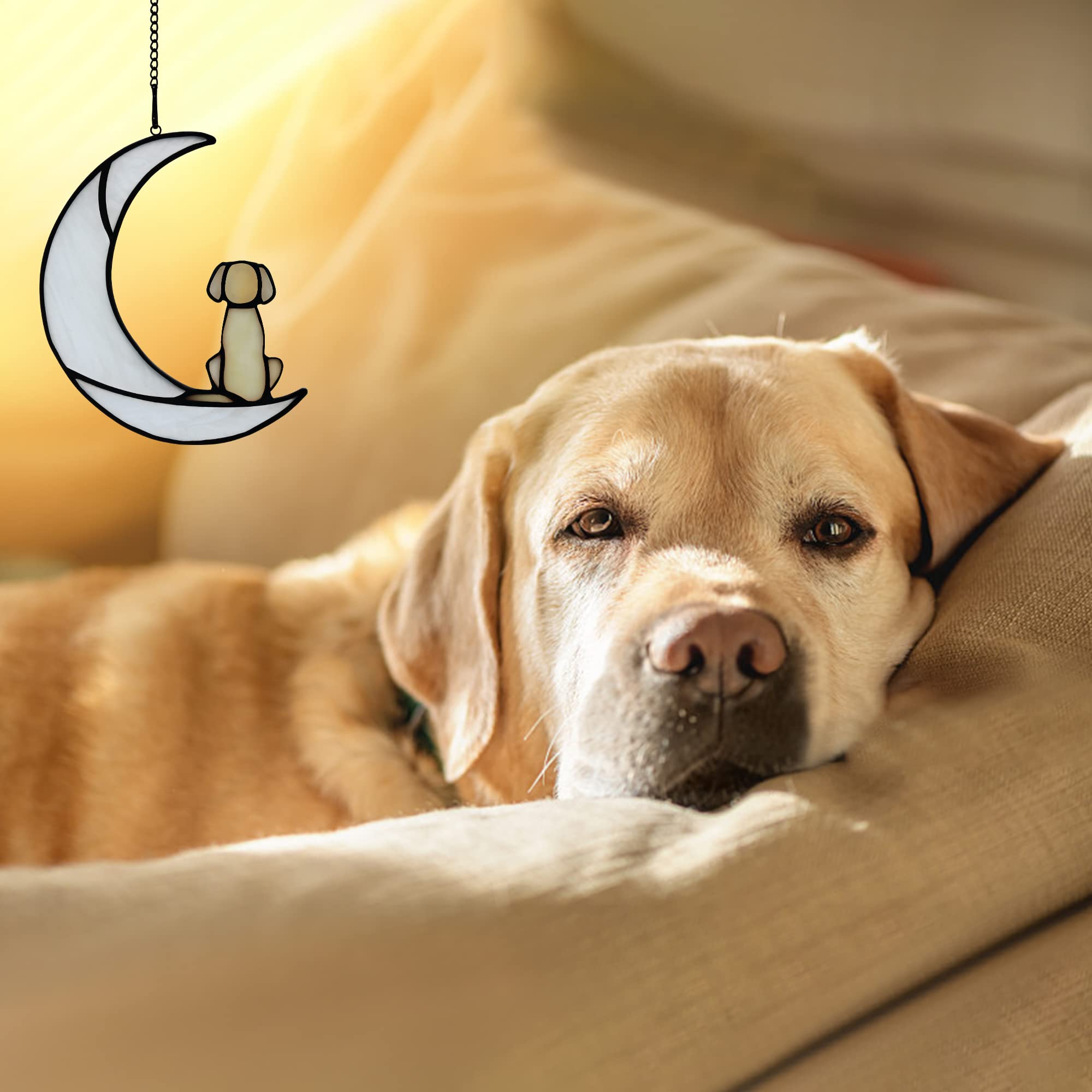 BOXCASA vitral perro luna memorial: pieza artesanal que aporta calidez a tu hogar