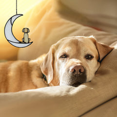 BOXCASA vitral perro luna memorial: pieza artesanal que aporta calidez a tu hogar