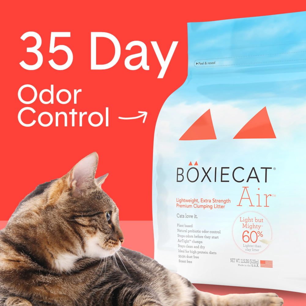 Boxiecat, arena para gatos con cero polvo para hogares limpios.