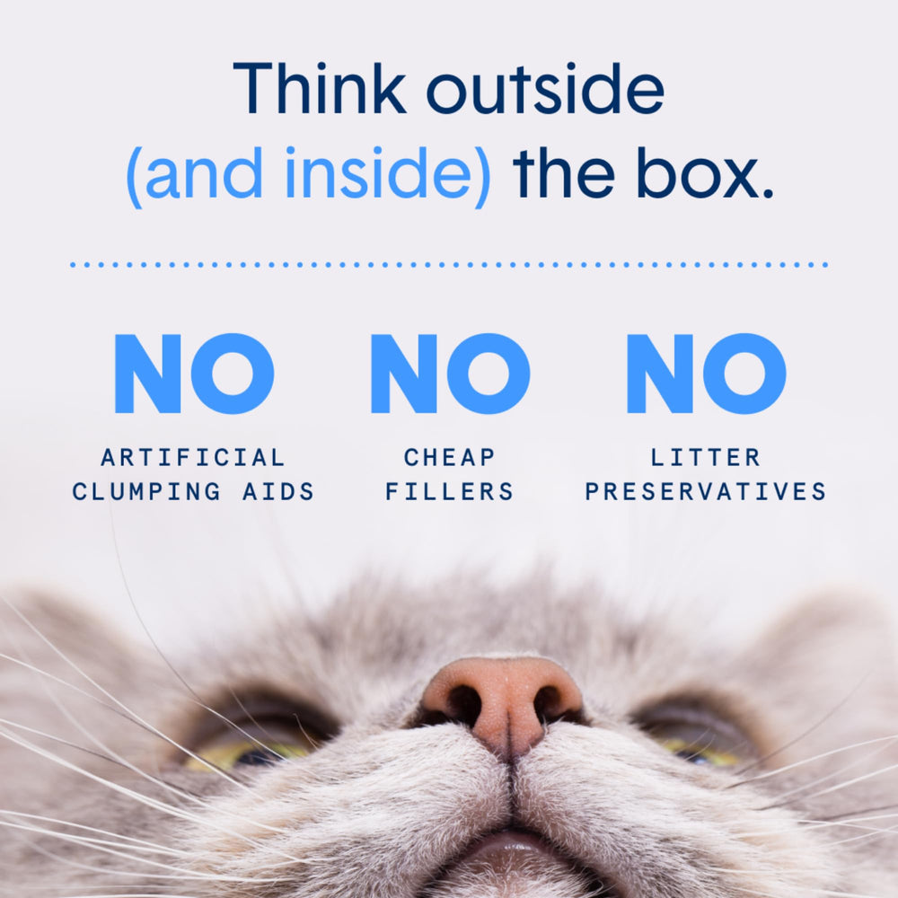 Boxiecat, sin fragancia para gatos sensibles y mascotas en casa.