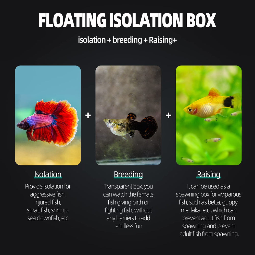 Boxtech sujeción con ventosas para fijar en la pared del acuario
