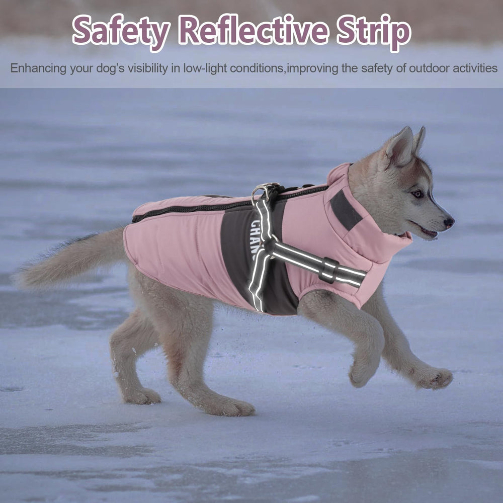Brabtod lavado a máquina de chaqueta para perro, fácil de mantenimiento.