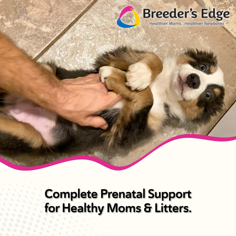 Oxy Mate de Breeder's Edge, masticables sabor carne, ideal para madres embarazadas